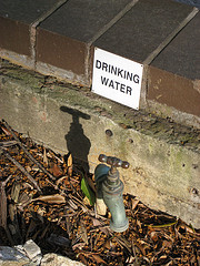 Sydney Drinking Water