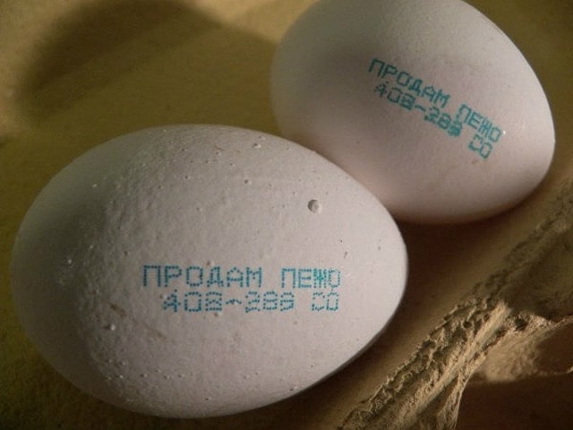 Advertising on Eggs