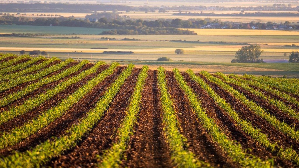 How to Make Your Farming Business More Sustainable – Productivity