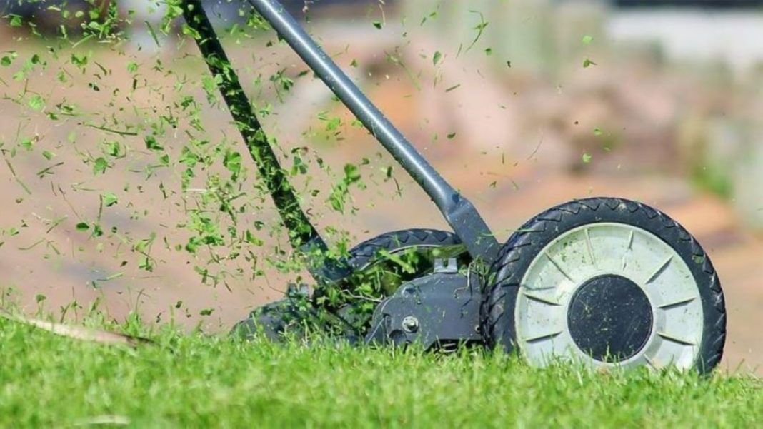 How to Start and Run a Lawn Care Business