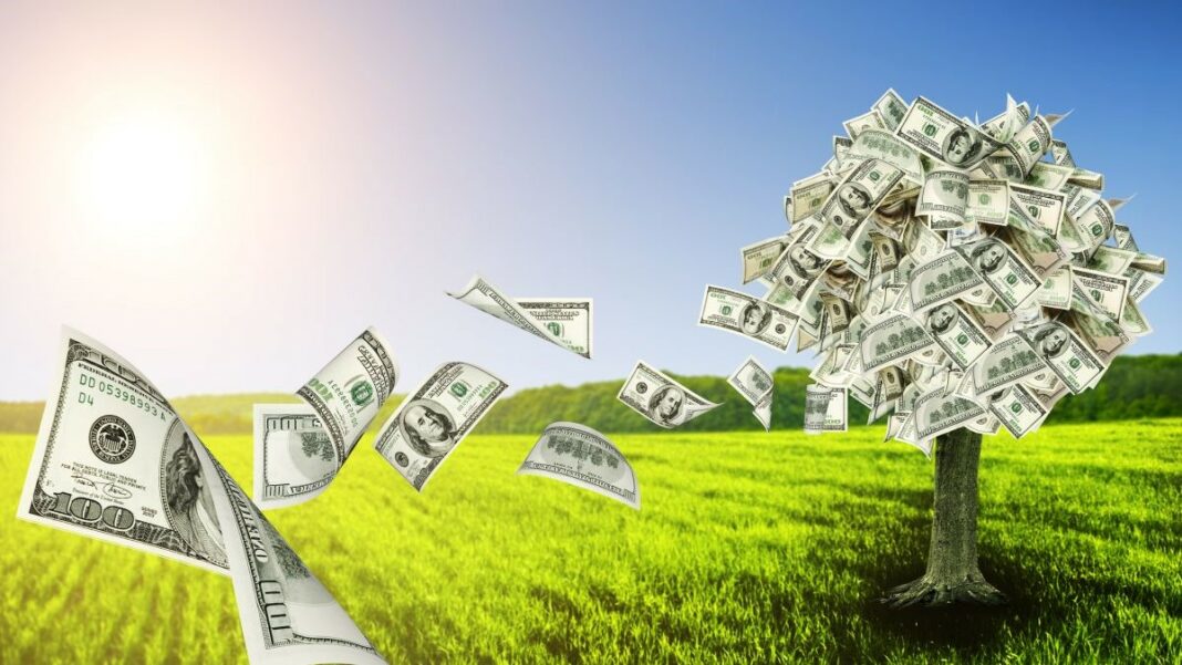 cash management represented by a money tree in a green meadow shedding US bills