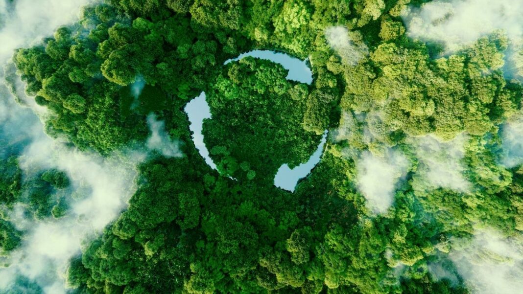 eco-friendly packaging represented by an abstract icon portraying the ecological call to recycle and reuse in the form of a pond with a recycling symbol in the middle of a beautiful untouched jungle. 3d rendering.