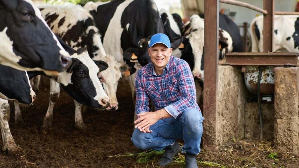 animal husbandry represented by a smiling male farmer with cows