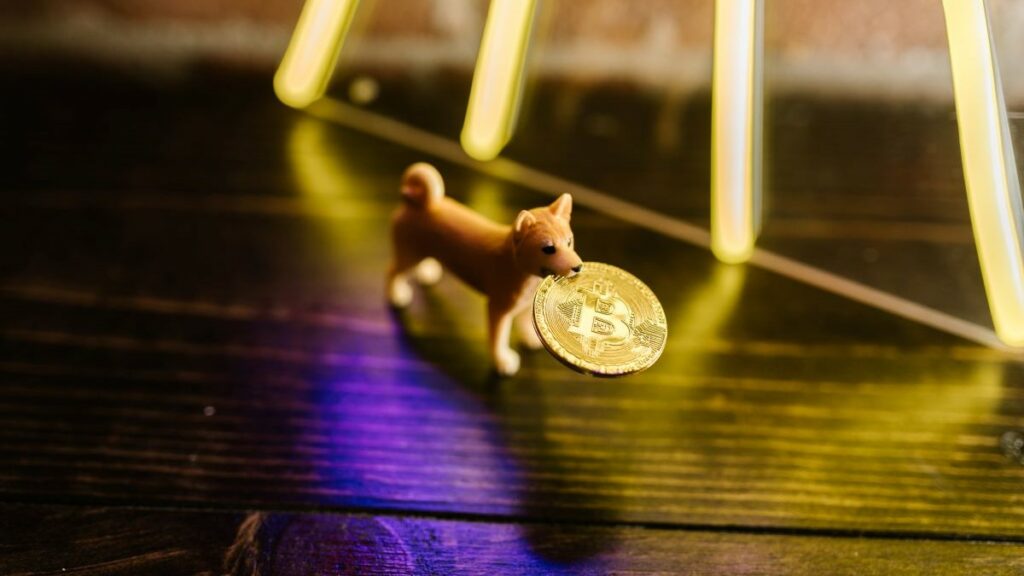 margin trading represented by a toy Shiba Inu holding a bitcoin in its mouth